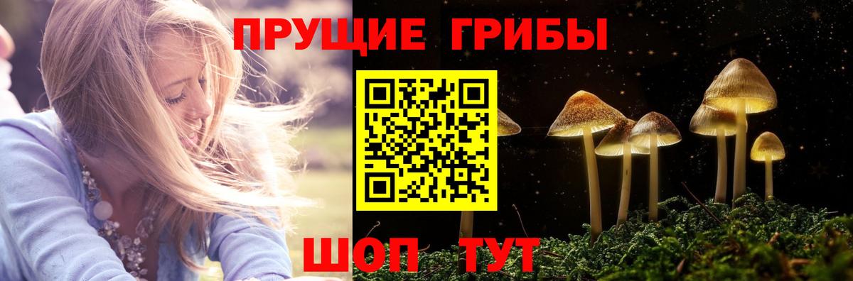 Псилоцибиновые грибы GOLDEN TEACHER  Вход с VPN  сколько стоит  Чебоксары 